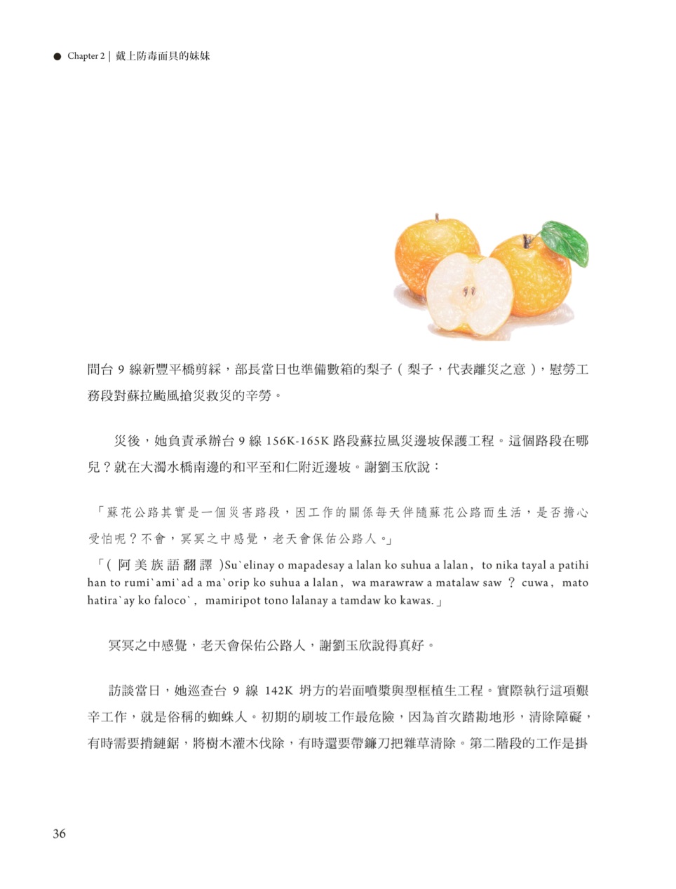 Page Background